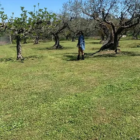 Casa Moma Apartment *