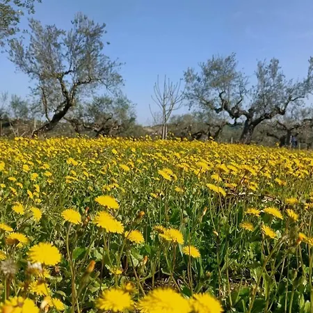 Διαμέρισμα Casa Moma Caprara d'Abruzzo