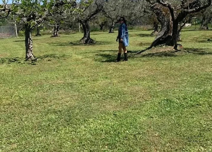 Casa Moma アパート *