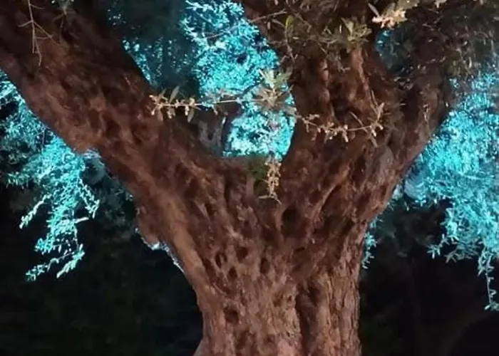 Casa Moma Caprara d'Abruzzo