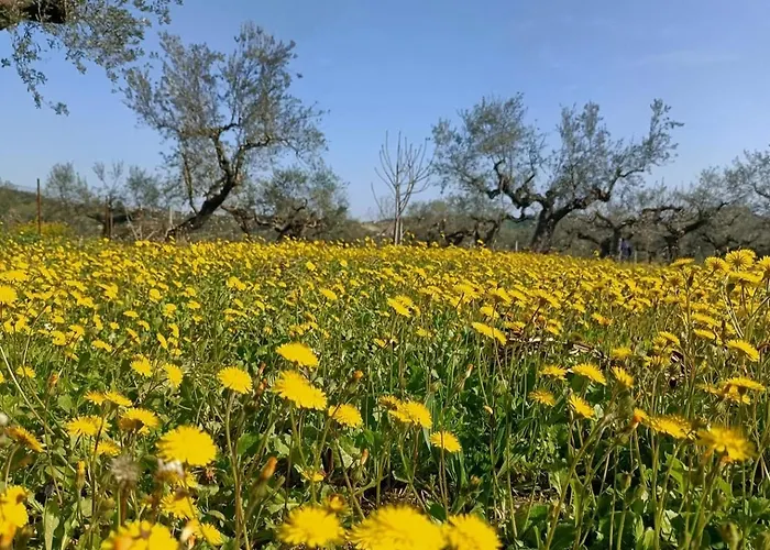 Διαμέρισμα Casa Moma Caprara d'Abruzzo